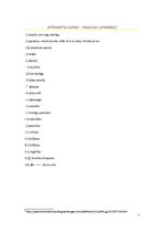 Referāts 'Žargona un slenga loma saskarsmē', 7.