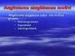 Prezentācija 'Anglicismi laikrakstos "Diena" un "Vakara Ziņas"', 5.