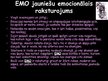 Prezentācija 'EMO subkultūra', 3.