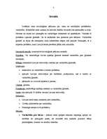 Referāts 'Latvijas iedzīvotāju viedoklis par vardarbību ģimenēs', 3.