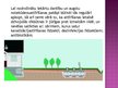 Prezentācija 'Bioloģiskā notekūdeņu attīrīšanas sistēma', 3.