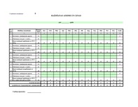 Paraugs 'Biznesa plāna aprēķini vienam gadam', 8.