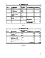 Biznesa plāns 'Biznesa plāns', 6.