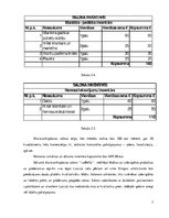 Biznesa plāns 'Biznesa plāns', 7.