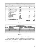 Biznesa plāns 'Biznesa plāns', 9.