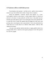 Biznesa plāns 'Biznesa plāns', 10.