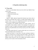 Biznesa plāns 'Biznesa plāns', 11.