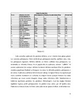 Biznesa plāns 'Biznesa plāns', 13.