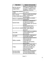 Biznesa plāns 'Biznesa plāns', 15.