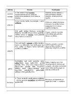 Konspekts 'Pārbaudes darbs par Aleksandru Čaku un viņa dzeju', 3.