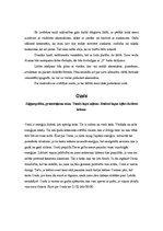 Paraugs 'Mājturības gala darbs 9.klasē', 2.