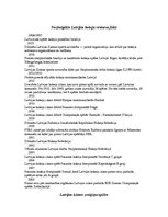 Konspekts 'Hokejs pasaulē', 5.