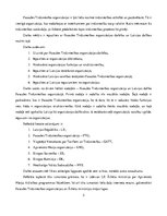 Referāts 'Pasaules Tirdzniecības organizācija', 3.