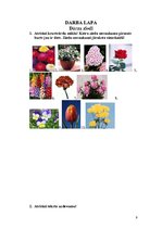 Konspekts 'Integrētā diena 2.klasei "Dārza ziedi"', 8.