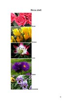 Konspekts 'Integrētā diena 2.klasei "Dārza ziedi"', 12.