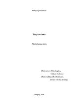 Referāts 'Zīmju valoda', 1.