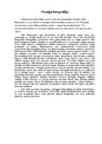 Konspekts 'Vienīgā fotogrāfija', 1.