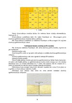 Konspekts 'Ventilējamās fasādes ierīkošana', 9.