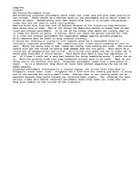 Eseja 'The Caning Punishment Issue', 1.