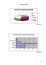 Referāts 'Komercdarbības uzsākšanas iespējas Cēsīs', 19.