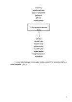 Diplomdarbs 'Populārās mūzikas ietekme uz pusaudža emocionālo atttīstību', 12.