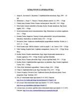 Diplomdarbs 'SIA "X" finansiālā stāvokļa analīze un novērtējums', 55.