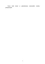 Referāts 'Postmodernisma izpausme mūsdienu Latvijas politikā', 5.