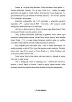 Referāts 'Čehijas ekonomiskais raksturojums', 4.