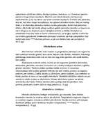 Referāts 'Alkoholisms', 3.