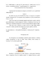 Konspekts 'Termodinamika', 2.