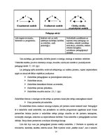 Diplomdarbs 'Sporta skolotāja un skolēnu sadarbība sporta stundās', 14.