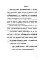 Referāts 'Sabiedrība ar ierobežotu atbildību kā viena no komercdarbības formām', 3.