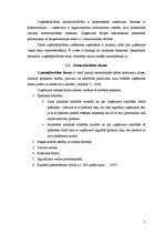 Referāts 'Sabiedrība ar ierobežotu atbildību kā viena no komercdarbības formām', 5.