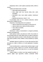 Referāts 'Sabiedrība ar ierobežotu atbildību kā viena no komercdarbības formām', 18.