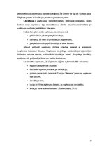 Referāts 'Sabiedrība ar ierobežotu atbildību kā viena no komercdarbības formām', 19.