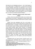 Referāts 'Uzņēmuma novešana līdz maksātnespējai un ļaunprātīgs bankrots', 11.