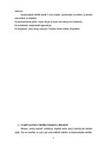 Referāts 'Starptautisko tiesību subjekta jēdziens', 3.