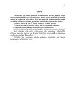 Referāts 'SIA "X Tours" ekonomisko rādītāju analīze', 3.