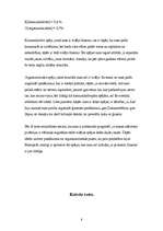 Referāts 'Profesionālais poligons', 8.