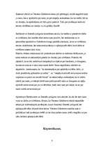 Referāts 'Profesionālais poligons', 9.