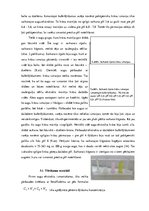 Referāts 'Dabīgo indikatoru izmantošana šķīdumu vides noteikšanai', 21.