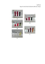 Referāts 'Dabīgo indikatoru izmantošana šķīdumu vides noteikšanai', 28.