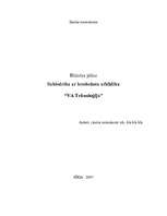 Biznesa plāns 'Biznesa plāns SIA "VA tehnoloģijas" - gāzbetona ražotne ', 1.