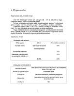 Biznesa plāns 'Biznesa plāns SIA "VA tehnoloģijas" - gāzbetona ražotne ', 9.