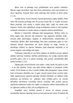 Referāts 'Bērna attīstība', 8.