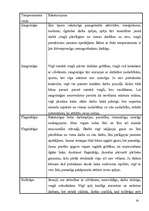 Referāts 'Bērna attīstība', 16.