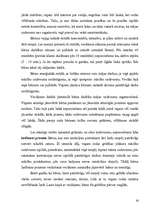 Referāts 'Bērna attīstība', 26.