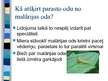 Prezentācija 'Odi un malārijas plazmodiju izraisītā malārija', 4.