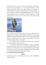 Referāts 'Modernie būvmateriāli - siltumizolācijas materiāli', 10.