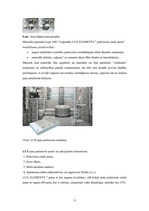 Referāts 'Modernie būvmateriāli - siltumizolācijas materiāli', 13.